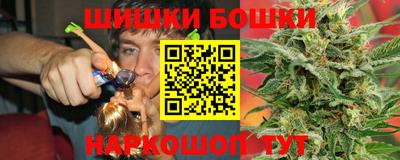 прущие грибы Лесосибирск