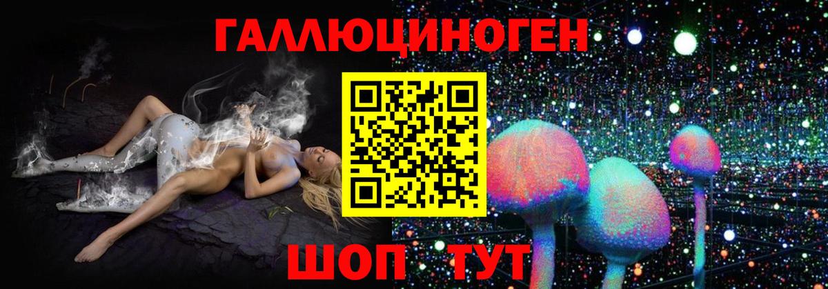 Псилоцибиновые грибы прущие грибы  Вход с VPN  Усть-Илимск 